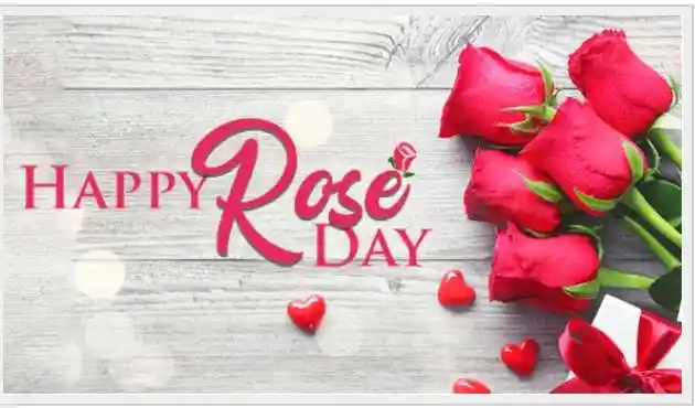 Everyone loves the most beautiful girl...